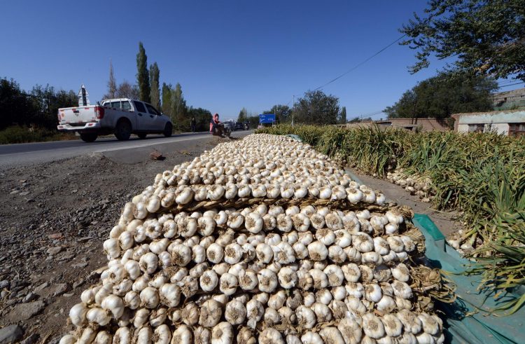 Se dispara el precio del ajo en los mercados debido al coronavirus