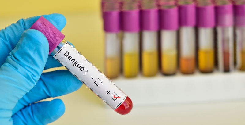 Ya son 364 los casos de dengue confirmados en la Ciudad de Buenos Aires