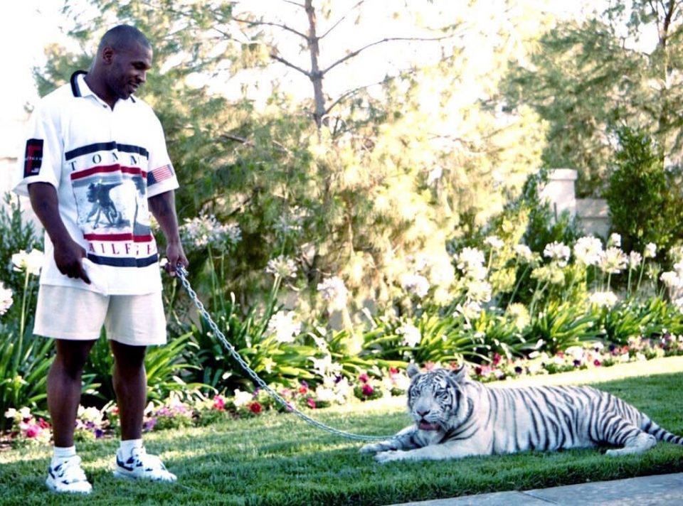 Mike Tyson explicó cómo uno de sus tigres le arrancó la mano a una vecina y cuánto debió pagarle