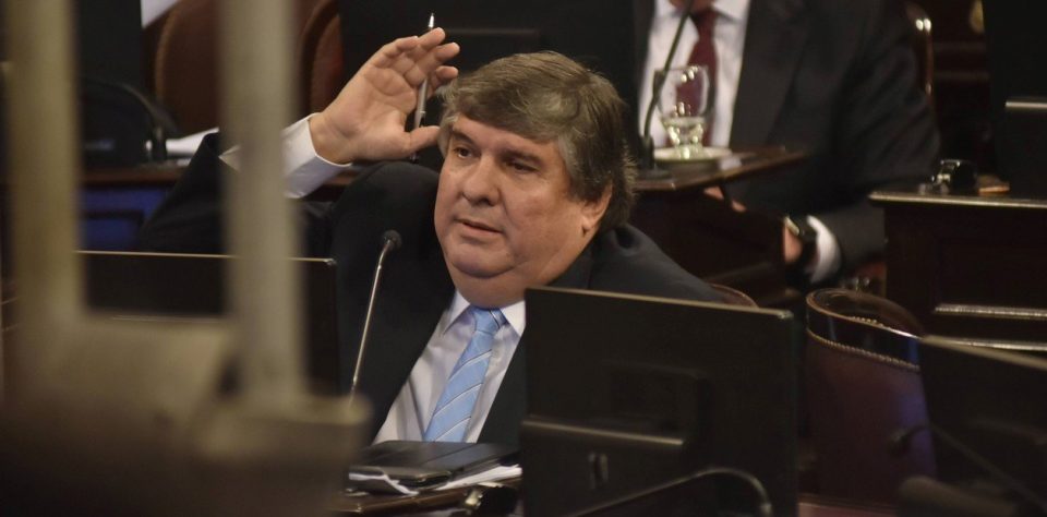 El líder del bloque oficialista en el Senado se opone a legalizar el aborto