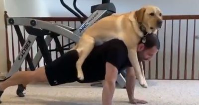 El desopilante video de un perro que ayuda a entrenar a su dueño
