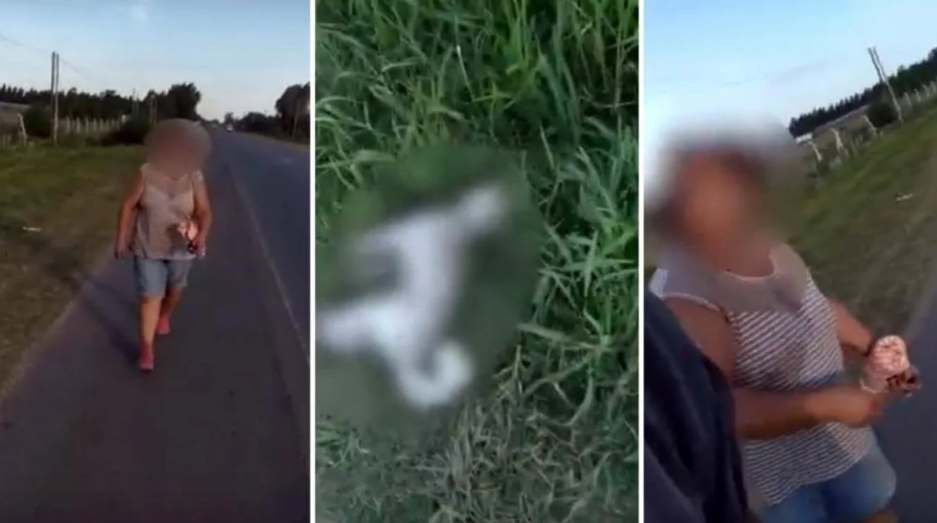 Una mujer mató a un caniche que la perseguía y la escracharon en las redes sociales