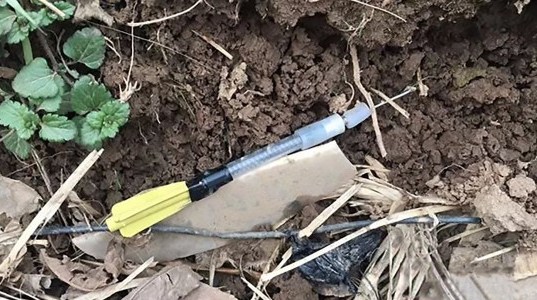 Asesinaba perros y murió atropellado por el dueño de una de sus víctimas