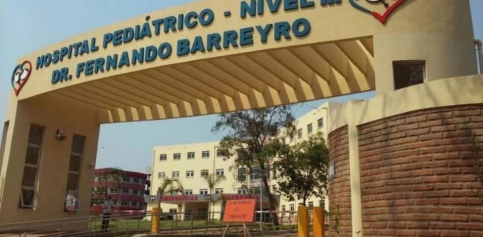 Murió asfixiado un bebé de 10 meses tras meterse en la boca la fruta de una ligustrina
