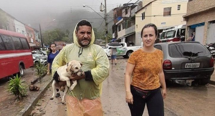 Una perra excavó donde murió su dueño y ayudó a encontrar el cuerpo