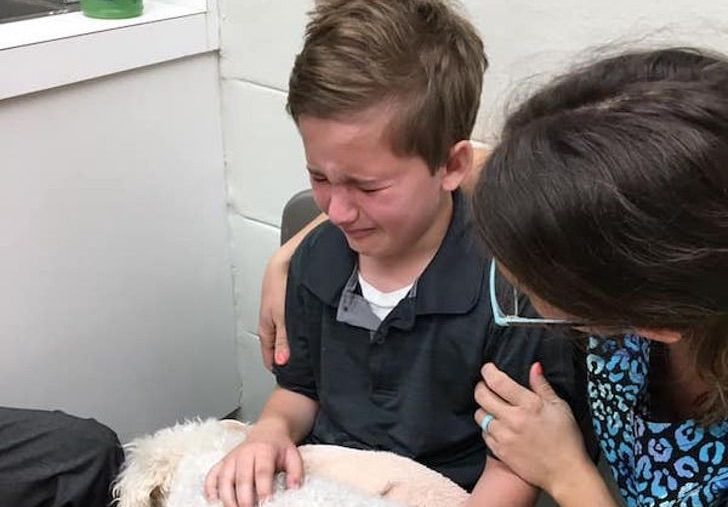 La valiente (y desgarradora) reacción de un niño que acompañó a su perro hasta su muerte