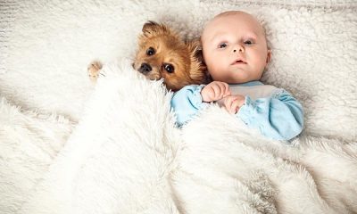 La conmovedora escena entre un bebé y un perro
