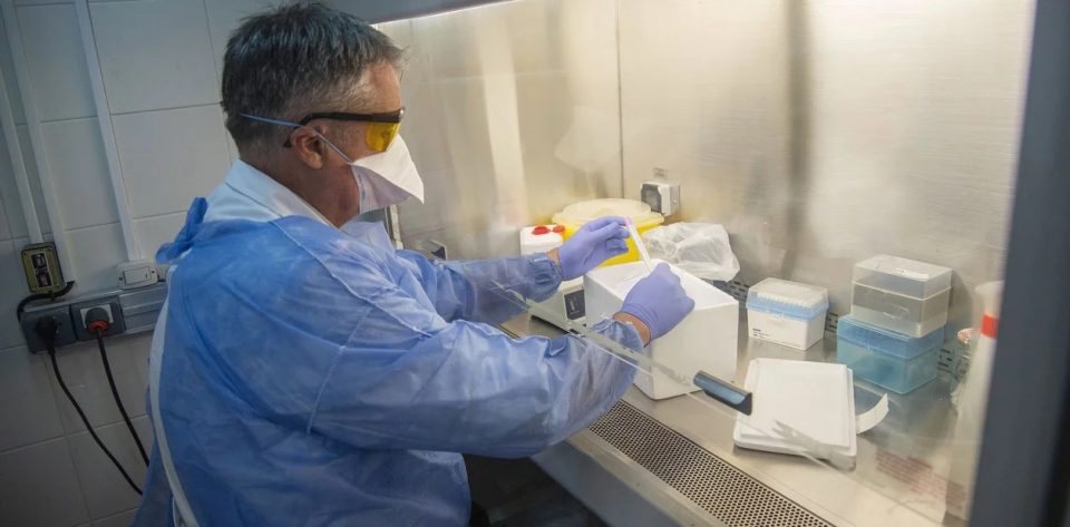 Compran medio millón de reactivos para acelerar los test de coronavirus