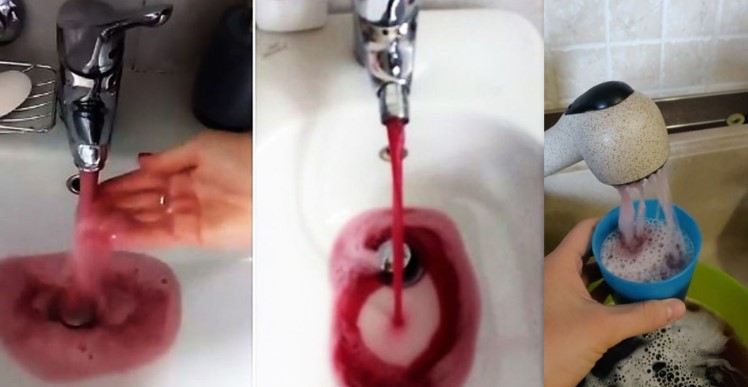 Abrieron la canilla y en vez de agua, comenzó a salir vino en cantidades