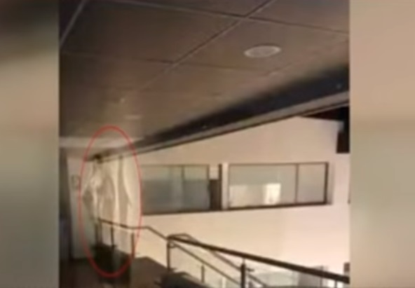 Registran la aparición de la Virgen María en un hospital con enfermos de coronavirus