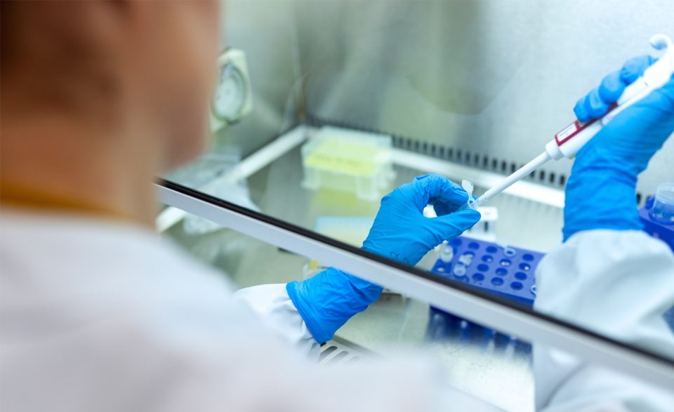 Coronavirus: científicos argentinos analizan más de 10 mil medicamentos para encontrar la cura