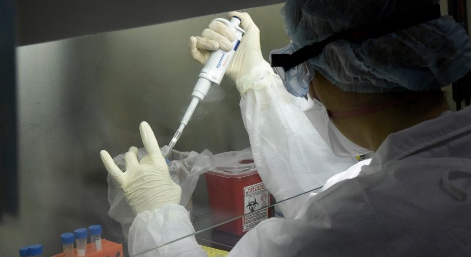 La OMS confirmó que infectar a voluntarios podría ser clave para encontrar una vacuna contra el coronavirus
