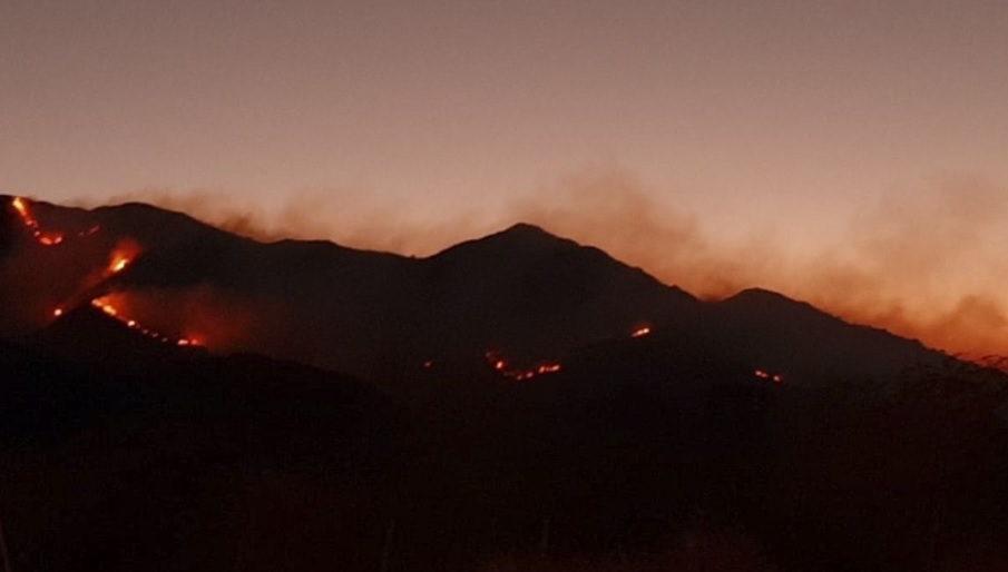 Por un posteo en TikTok, una mujer ocasionó un impresionante incendio que consumió 60 hectáreas de un bosque