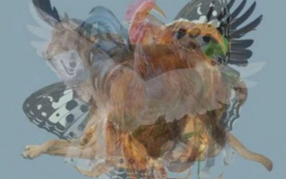 ¿Qué animal ves primero?: el desafío visual que define tu personalidad