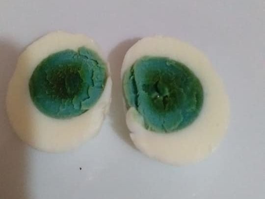 Descubrieron una gallina que pone huevos con la yema verde