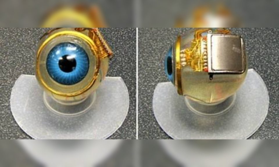 Diseñan un ojo artificial capaz de mejorar la calidad de las imágenes que se ven