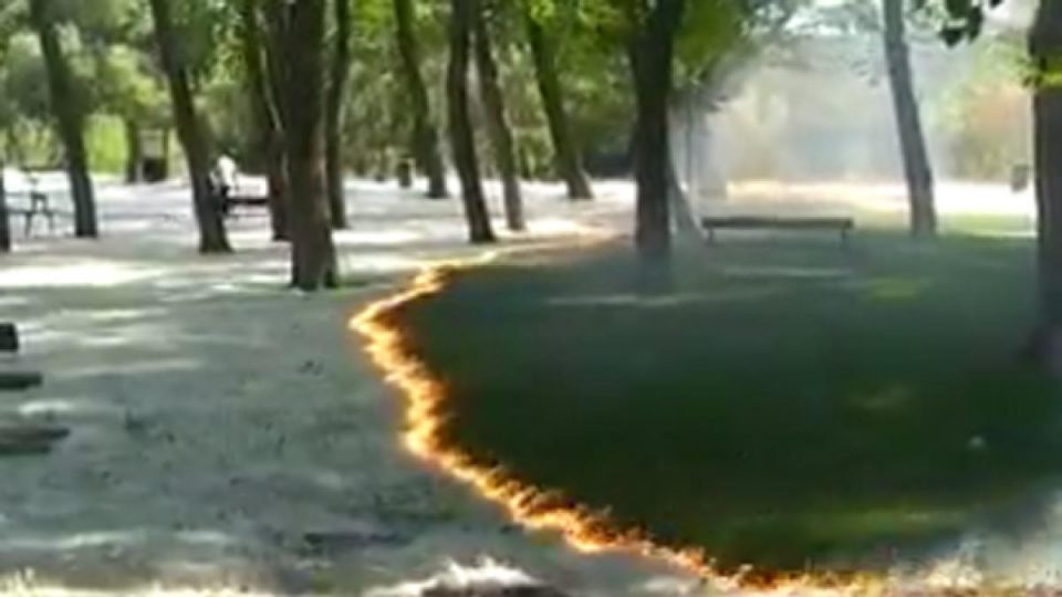 Video: un extraño incendio se apoderó de un parque (casi) vacío