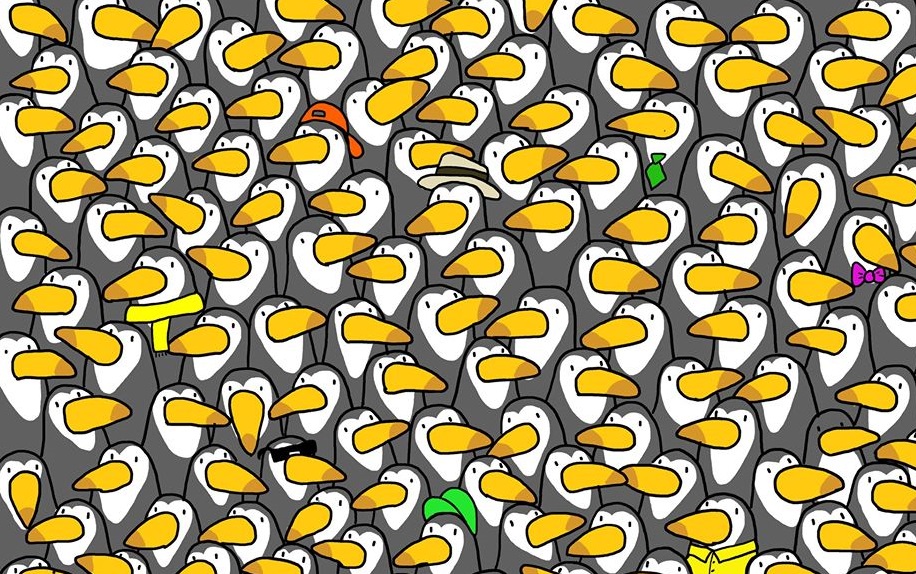 Reto viral: encontrar al pingüino entre tantos tucanes