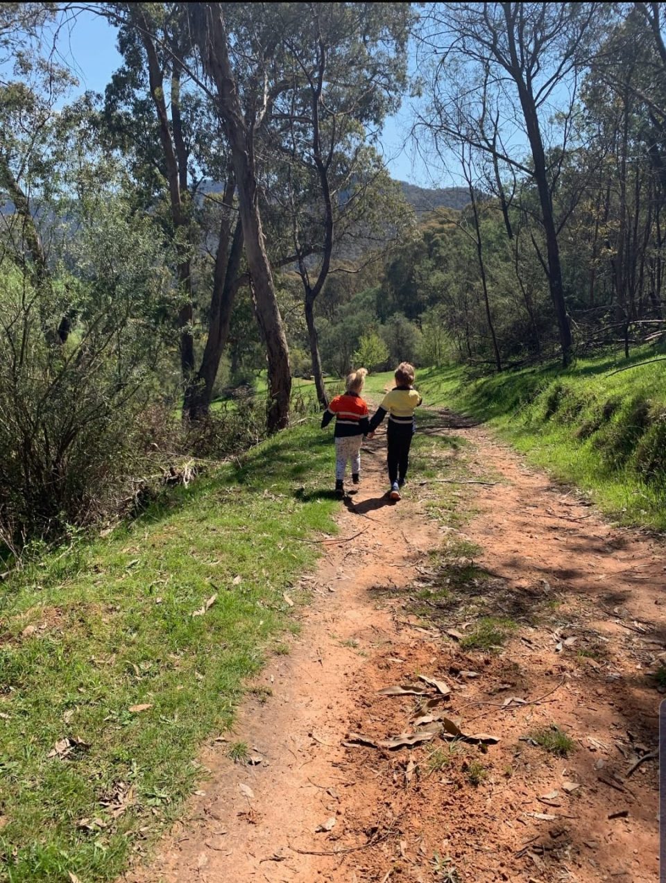 Fotografió a sus hijos caminando por el bosque sin advertir que corrían un gran peligro: “Nadie la vio”