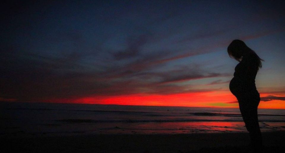 Una (rara) criatura marina arruinó una sesión de fotos en la playa