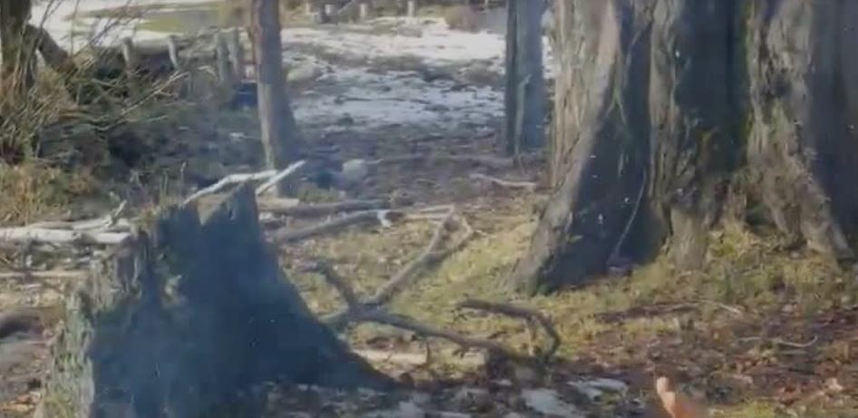 Un joven mostró un peculiar truco para el calentar agua en una bolsa