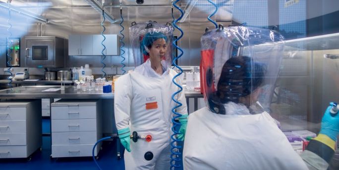 “El coronavirus es solo la punta del iceberg”: la dura advertencia de una reconocida viróloga china