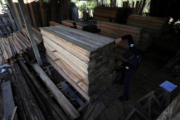 Brasil: se dispara la deforestación de la Amazonía durante la pandemia