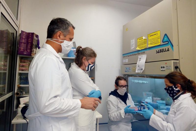 Método de testeo por grupo: ¿en qué consiste el avance de científicos argentinos?
