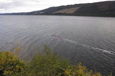 Captaron al posible monstruo del lago Ness en pleno nado luego a 100 años de su última aparición