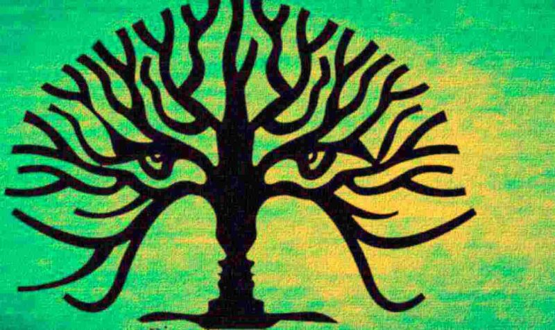 “¿Tenés problemas para sociabilizar?”: un test psicológico refleja cómo te relacionás con los demás