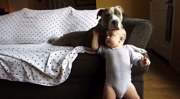 La enternecedora relación entre un bebé y un perro que se hizo viral