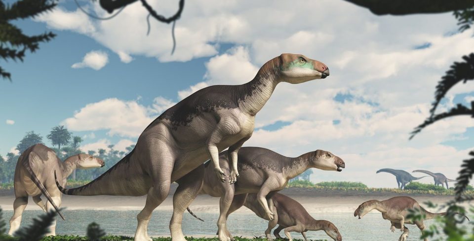 A lo Jurassic Park: un grupo de científicos podrían recrear a dinosaurios