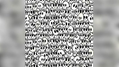 Reto viral: encontrar al fantasma entre las calaveras en menos de 10 segundos (una pesadilla)