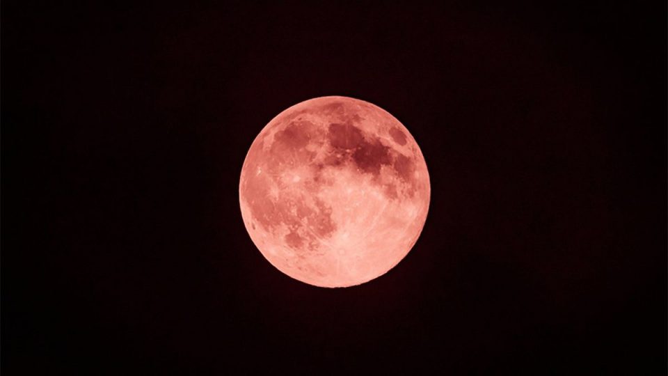 Video: cómo se vio el eclipse de la “Luna de Fresa”