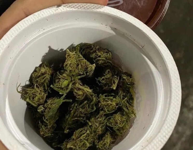 Detuvieron a dos hombres por trasladar marihuana adentro de potes de dulce de leche