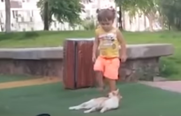 Una niña le pisó la cola a un gato y el “karma” se lo devolvió instantáneamente