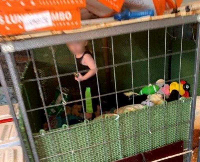 Rescataron a un nene de 18 meses que estaba encerrado en una jaula y rodeado de animales