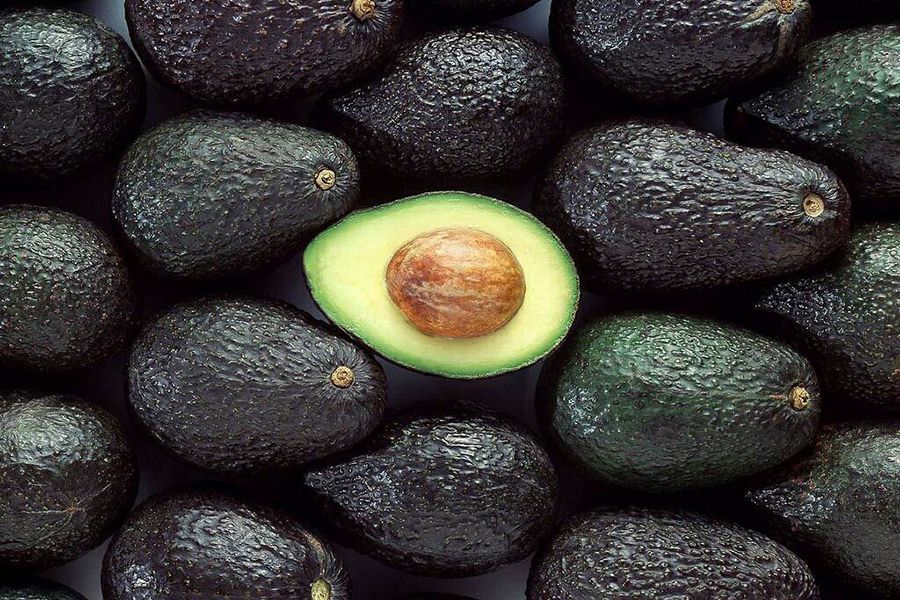 Apareció una exótica rana que se parece a una palta