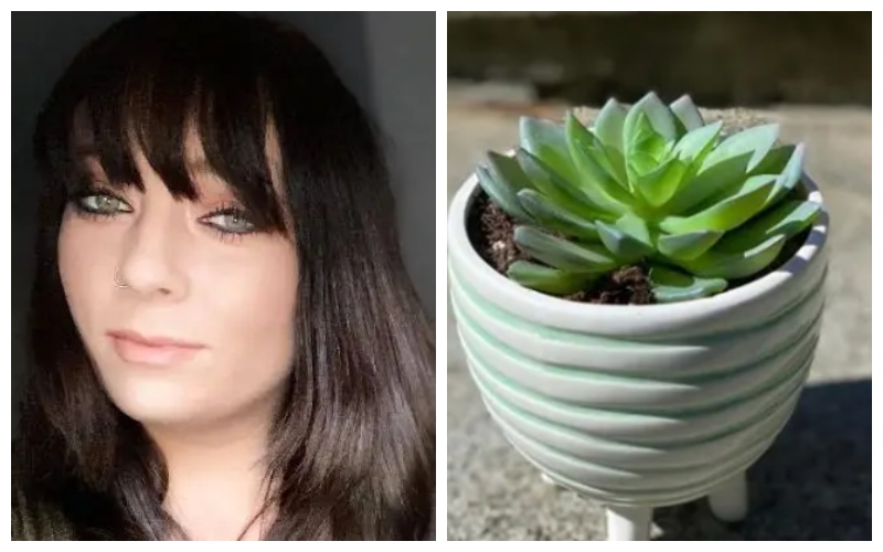 Cuidó una planta durante años y se llevó una gran sorpresa al cambiarla de maceta