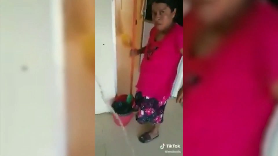 Una funcionaria humilló a una empleada en TikTok: “Maldita criada”
