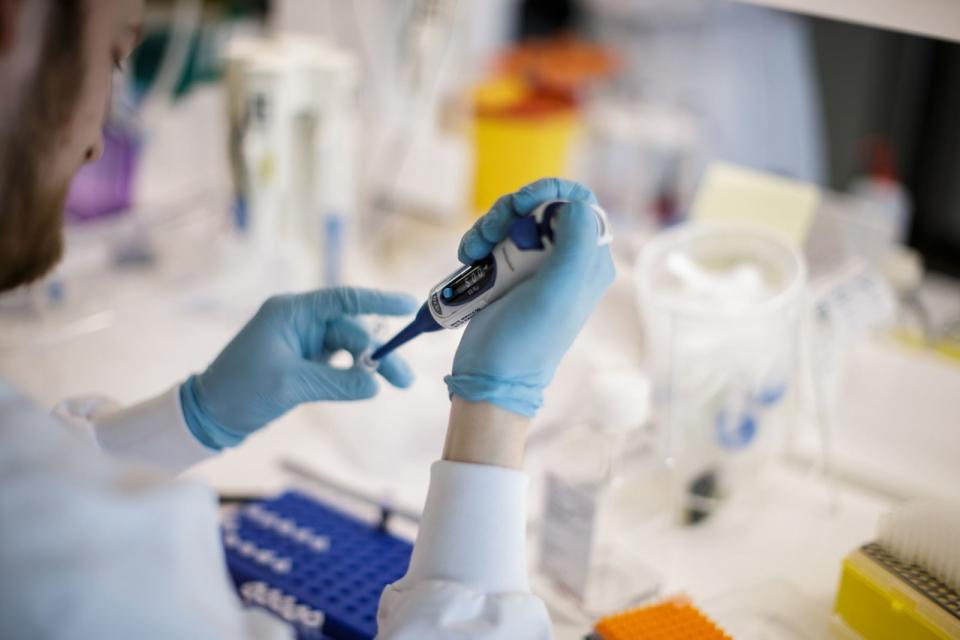Según la OMS, la vacuna contra el coronavirus no estará disponible este año