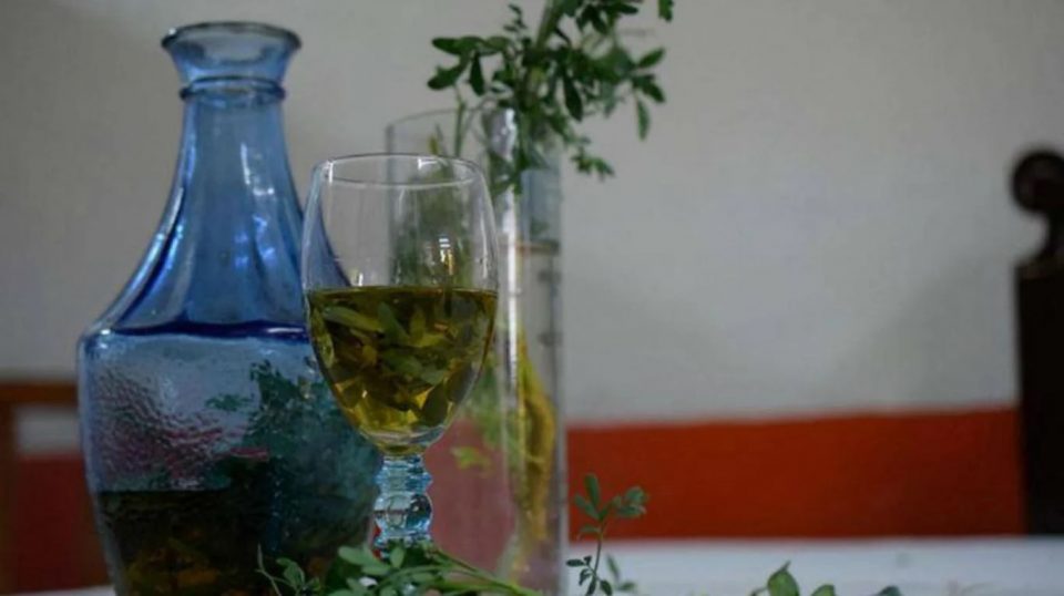 Caña con ruda: por qué se toma cada 1 de agosto