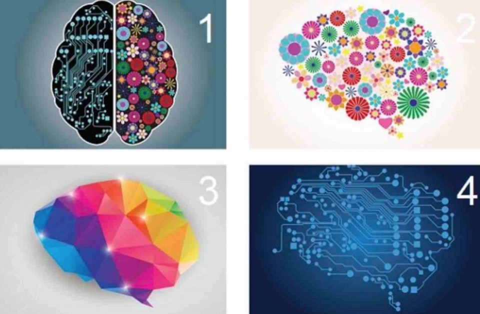 ¿Qué cerebro elegís?: un test para pensar cuán abierta es tu mente