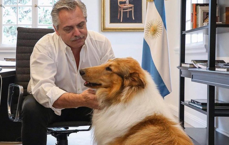 Dylan acompañó a Alberto Fernández en su “noche de trabajo” y las redes estallaron