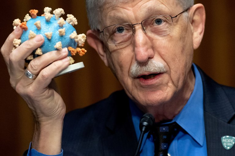 Aseguran que “los primeros resultados de la vacuna” para combatir el coronavirus “parecen alentadores”