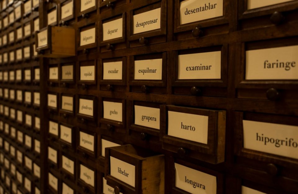 ¿”El” o “la” Covid-19?: la RAE explicó cuál es “el artículo correcto” para referirse a la enfermedad