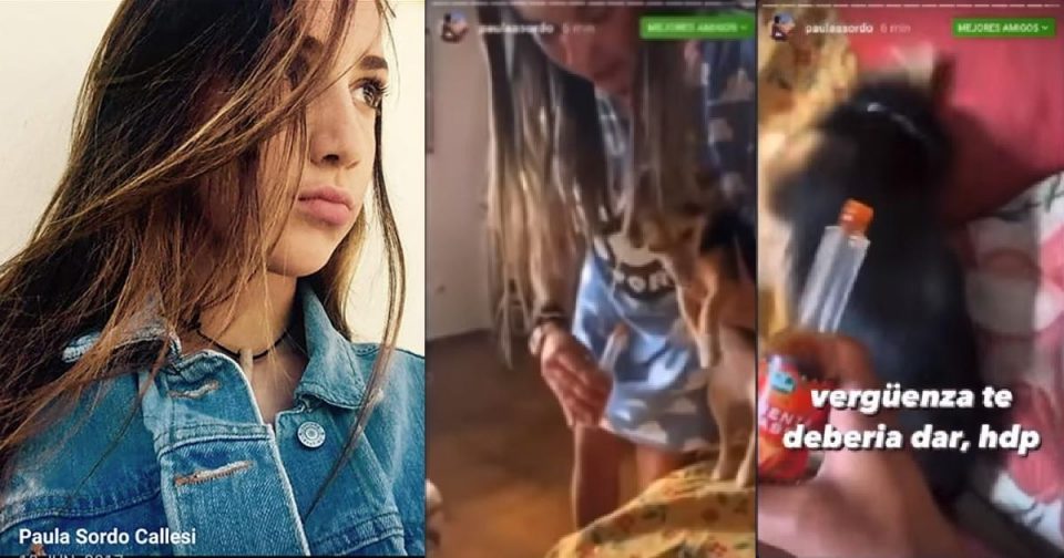 Denunciaron a una joven y a su amiga por ponerle salsa de tabasco en los ojos a un perro