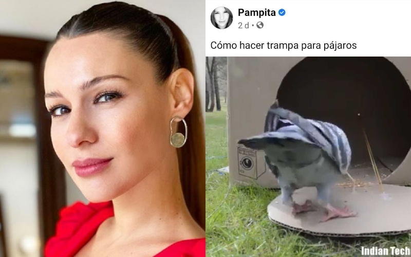 El Facebook de Pampita fue hackeado y publicaron más de 10 videos virales