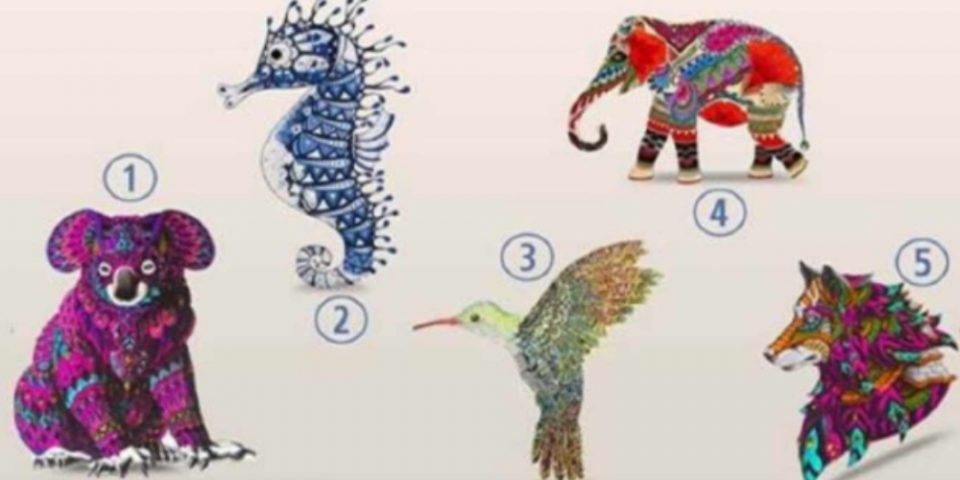 Test visual: elegí un animal y descubrí cuál es tu misión en la vida 