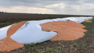 “Vandalismo rural”: el proyecto de ley que busca penar la quema de cosechas y silos